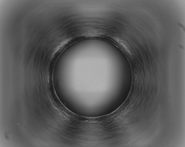 X0000091880539200709051016