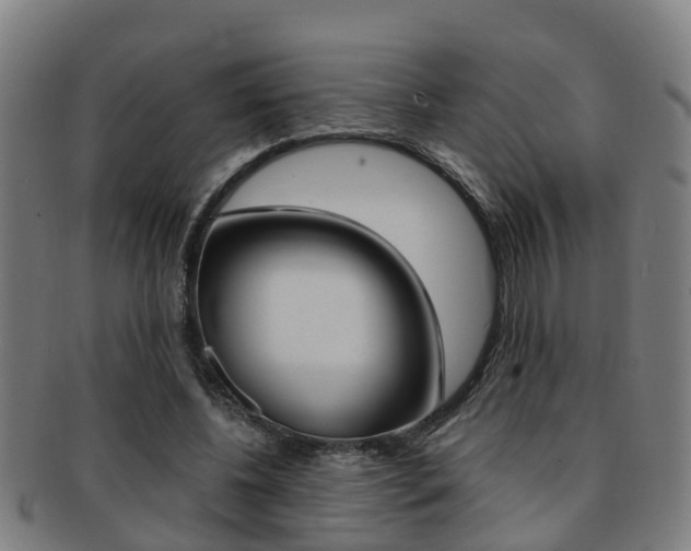 X0000091880540200709051016