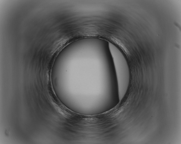 X0000091880541200709051016