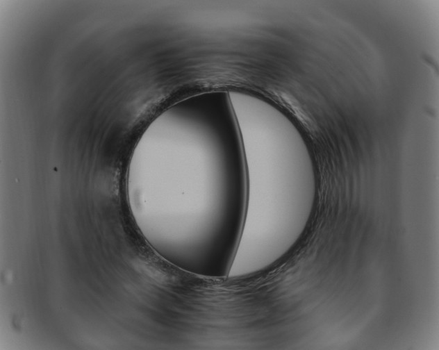 X0000091880543200709051016