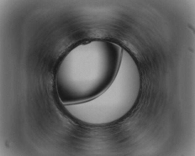 X0000091880544200709051016