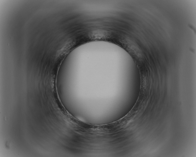 X0000091880545200709051016