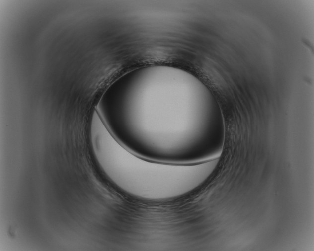 X0000091880546200709051016