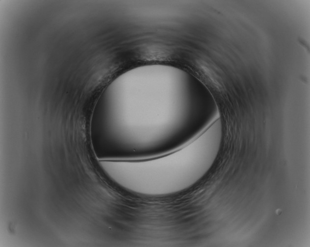 X0000091880547200709051016