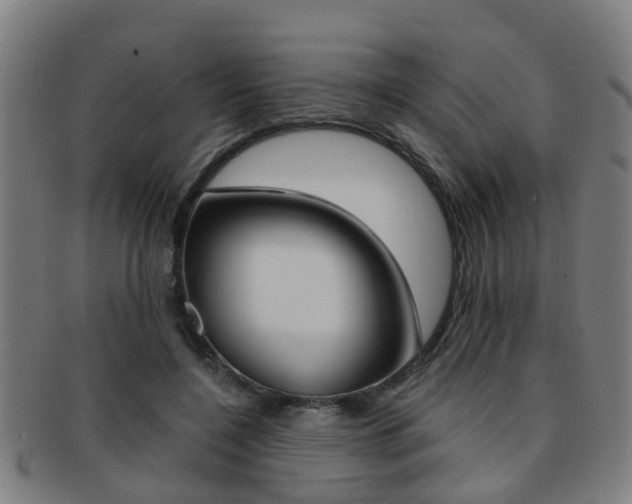 X0000091880548200709051016