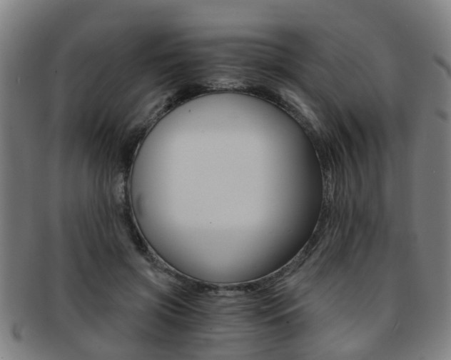 X0000091880549200709051016