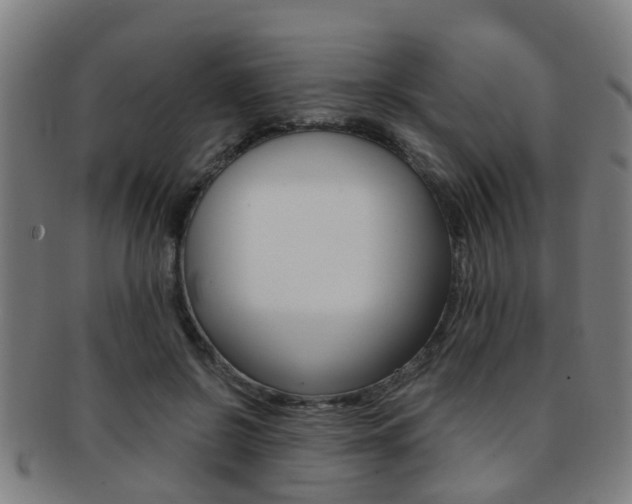 X0000091880550200709051016