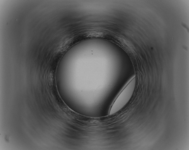X0000091880551200709051016
