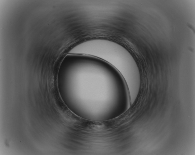 X0000091880552200709051016