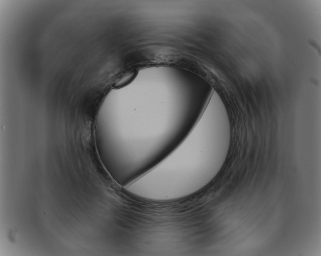 X0000091880554200709051016