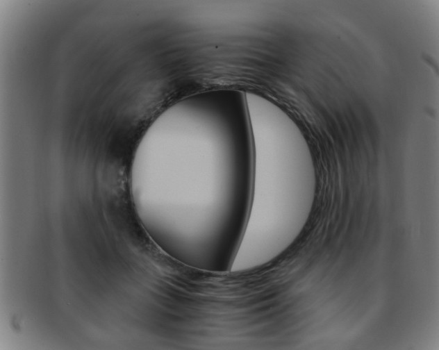 X0000091880555200709051016