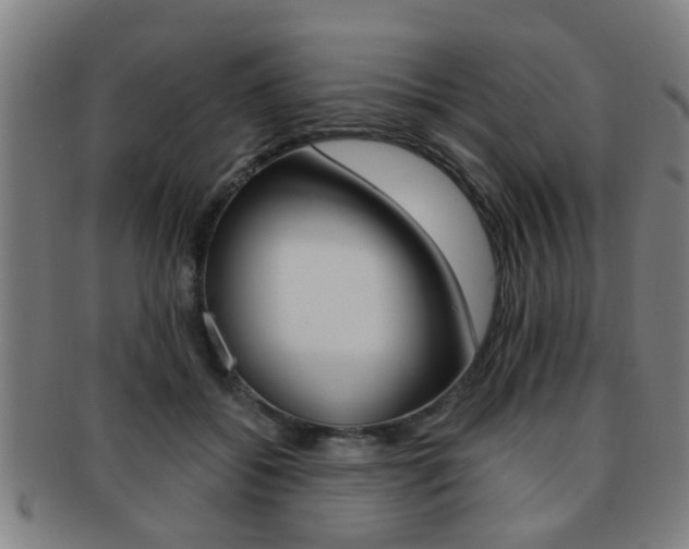 X0000091880556200709051016
