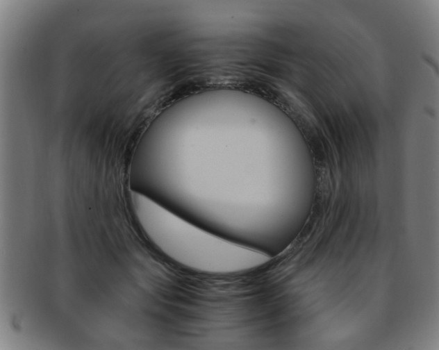 X0000091880557200709051017