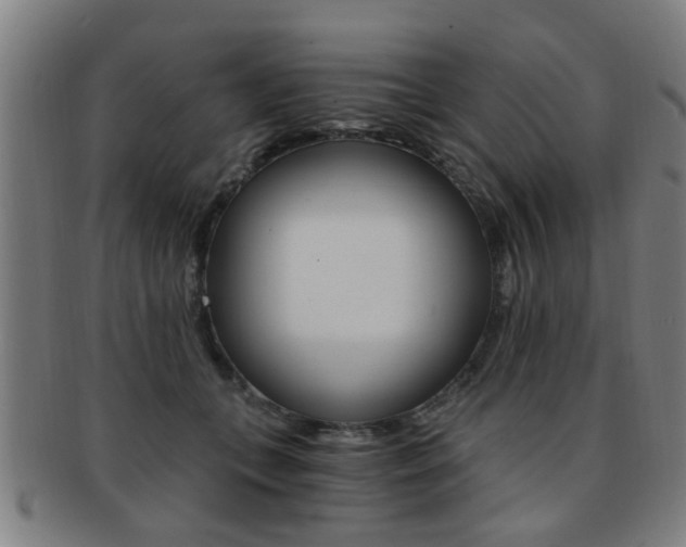 X0000091880559200709051017