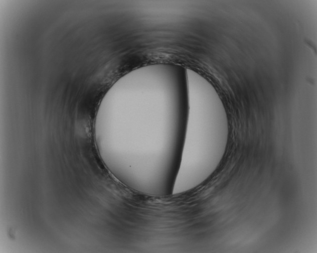 X0000091880561200709051017