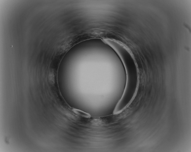 X0000091880562200709051017