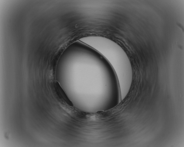 X0000091880564200709051017