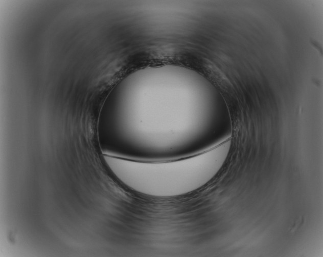 X0000091880566200709051017