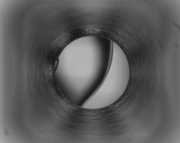 X0000091880567200709051017