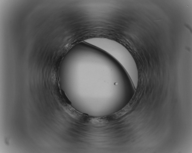 X0000091880568200709051017