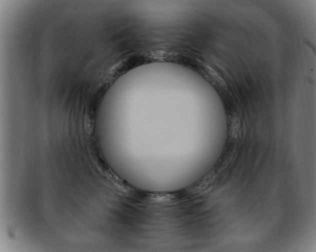 X0000091880569200709051017
