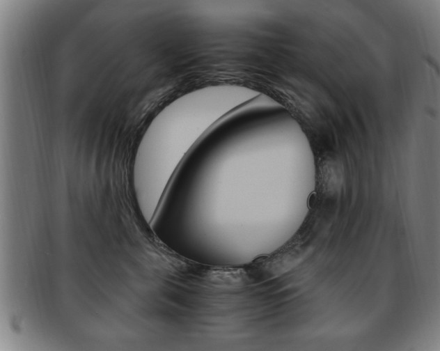 X0000091880571200709051017