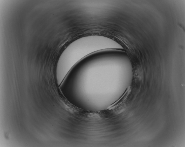 X0000091880572200709051017
