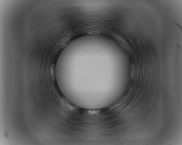 X0000091880573200709051017