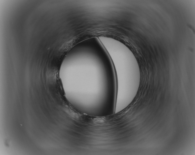 X0000091880574200709051017