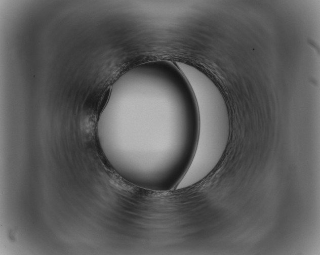 X0000091880576200709051017