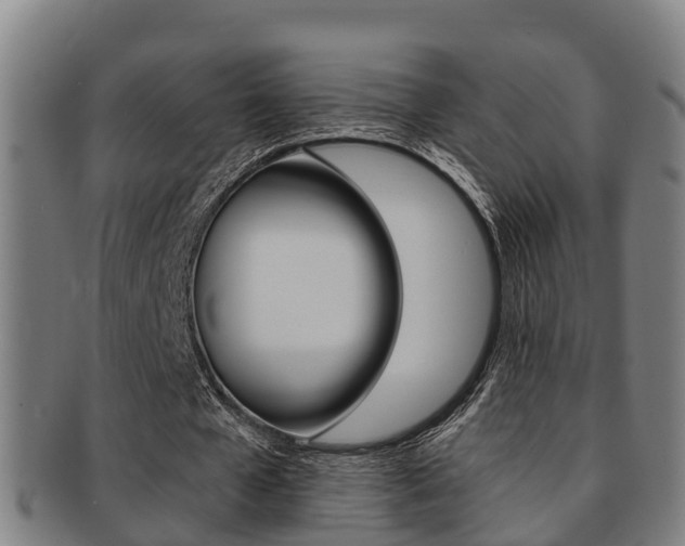 X0000091880577200709051016