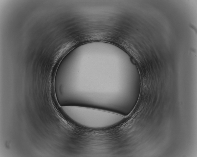 X0000091880578200709051016
