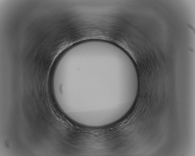 X0000091880579200709051016