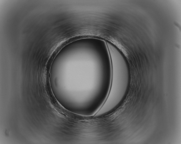 X0000091880580200709051016
