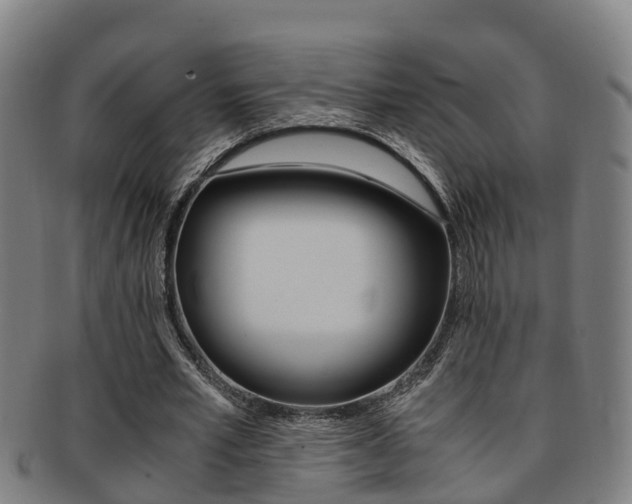 X0000091880581200709051016