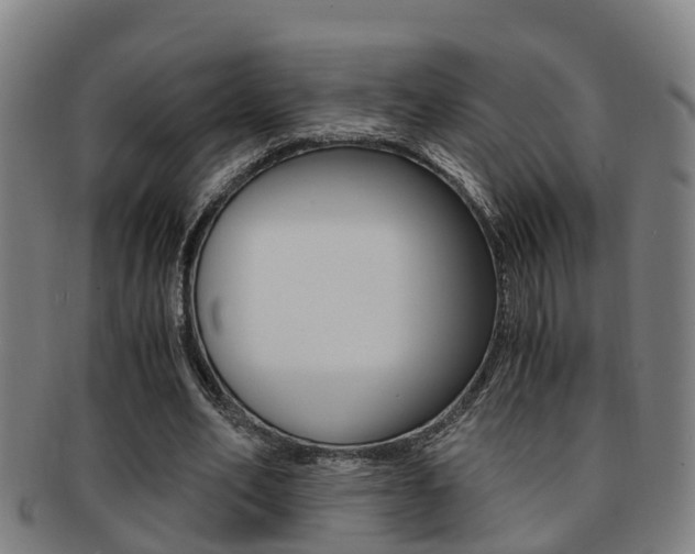 X0000091880582200709051016