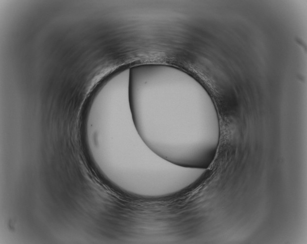 X0000091880583200709051016