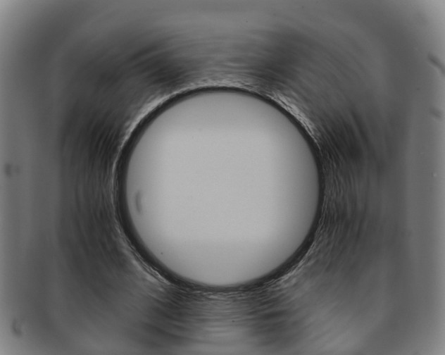 X0000091880584200709051016
