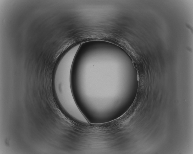 X0000091880585200709051016