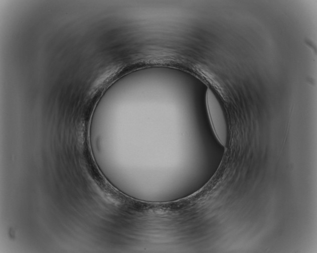 X0000091880586200709051016