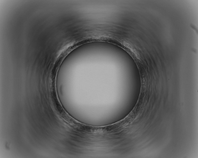 X0000091880587200709051016