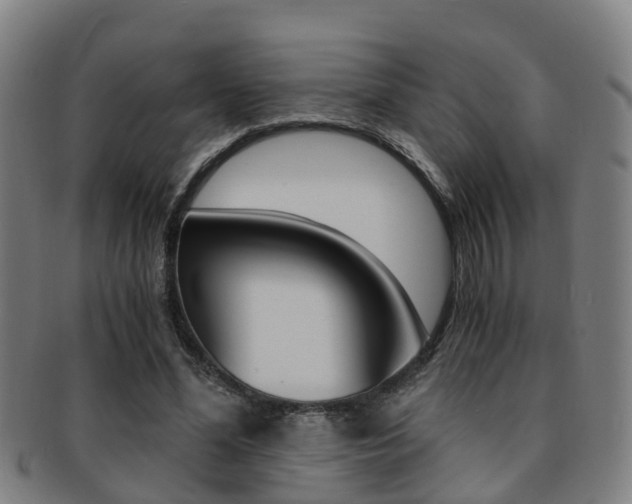 X0000091880588200709051016