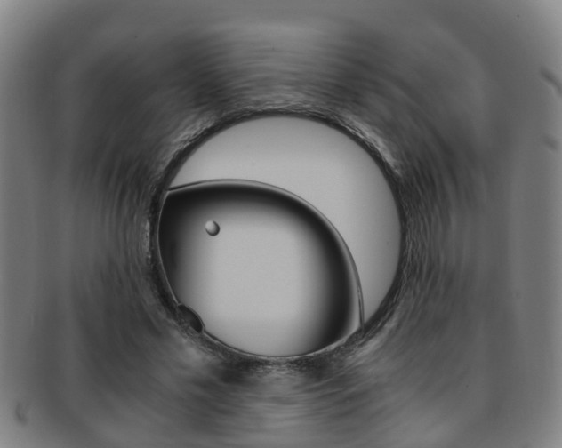 X0000091880589200709051016