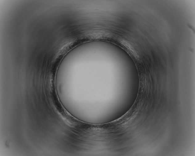 X0000091880590200709051016