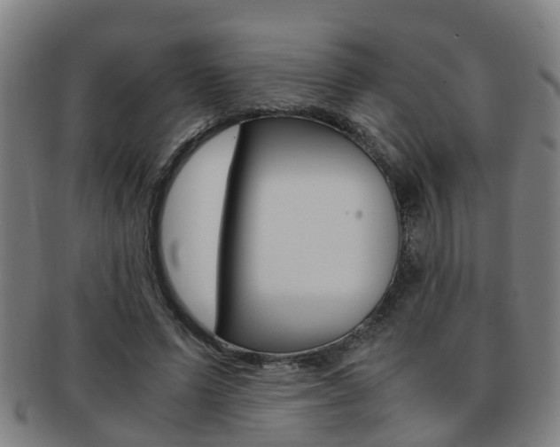 X0000091880591200709051016