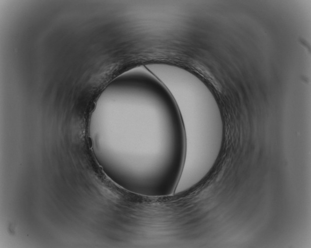 X0000091880593200709051016