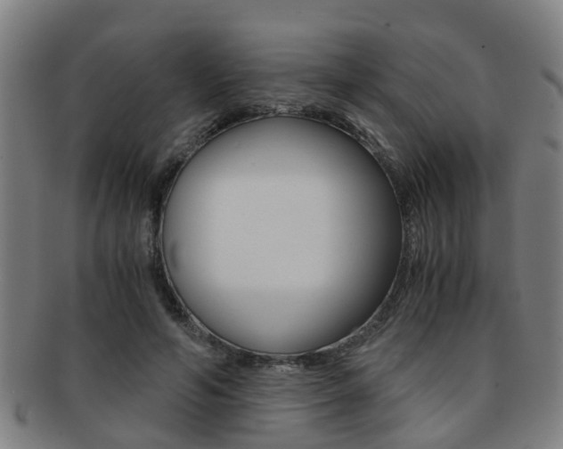 X0000091880594200709051016