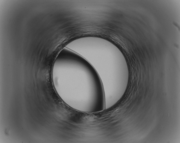 X0000091880595200709051016