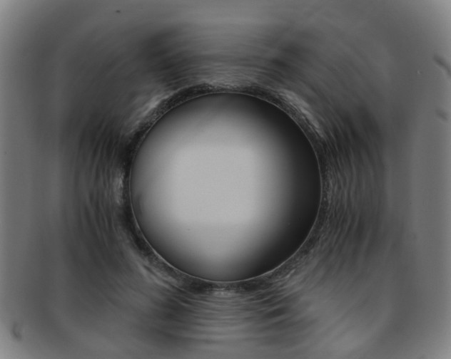 X0000091880596200709051016