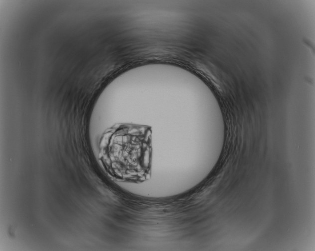 X0000091880597200709051016
